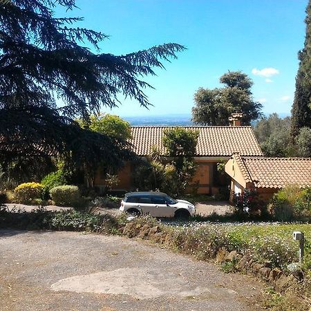 Villa With Spectacular View On Rome Marino Dış mekan fotoğraf